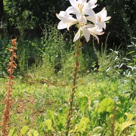 Apartment With A Parking Space - 7994 *