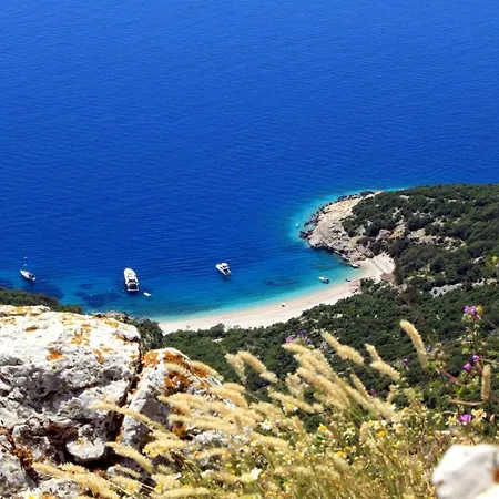 With A Parking Space - 7994 アパート ツレス